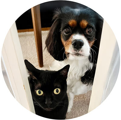 【画像】院長写真